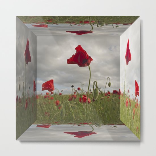 Mirrored Poppies Metal Print
