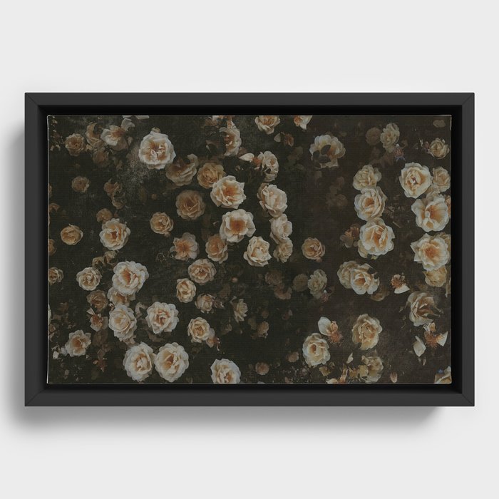 Framed Canvas