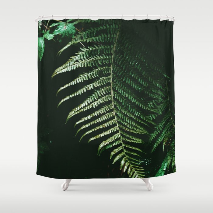 Brazil Photography - Beautiful Fern In The Dark And Dense Jungle Shower Curtain