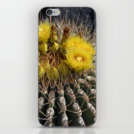 Mexico Photography - Beautiful Barrel Cactus Up-Close iPhone Skin