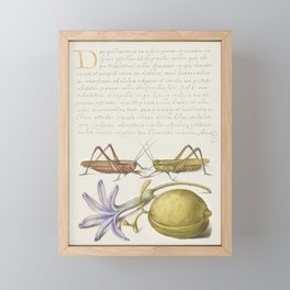 Grasshoppers calligraphic vintage poster Framed Mini Art Print