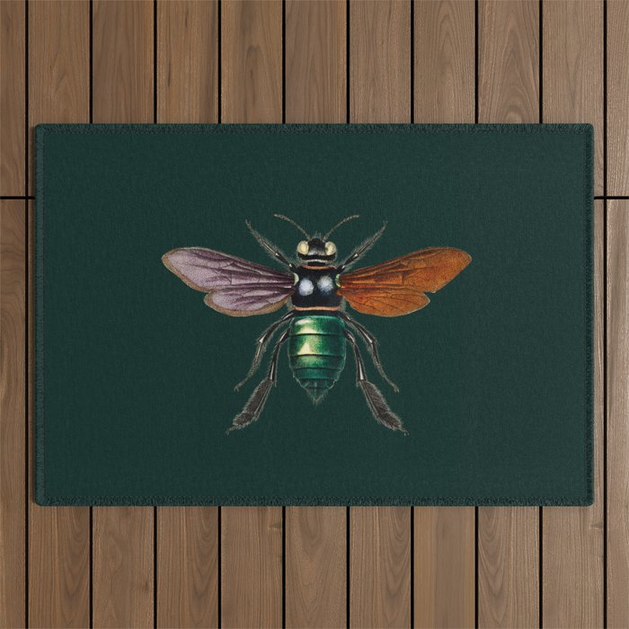 Insects,flies,bees vintage bugs,beetle art Outdoor Rug