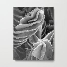 Abstract Cactus Metal Print
