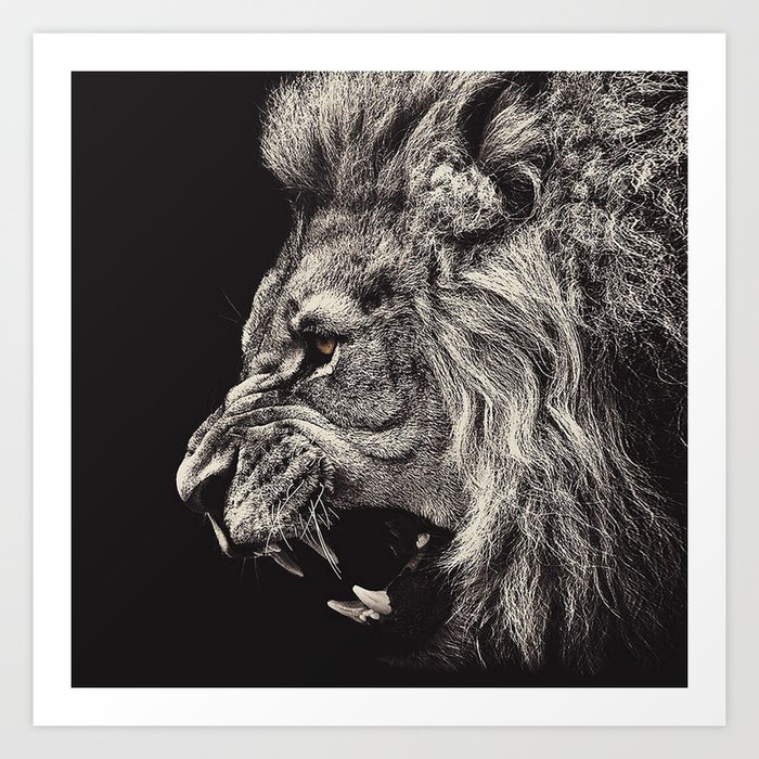 Angry Male Lion Art Print