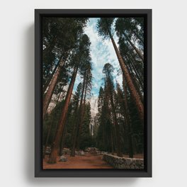 Yosemite Falls Framed Canvas