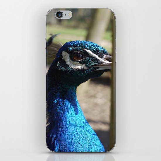 Mr Peacock iPhone & iPod Skin