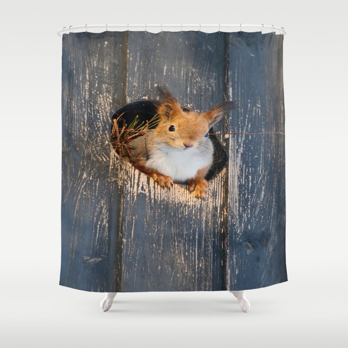 Peek-A-Boo! Squirrel Portrait #decor #society6 #buyart Shower Curtain