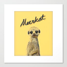 Meerkat | Yellowcard NO.1 Canvas Print