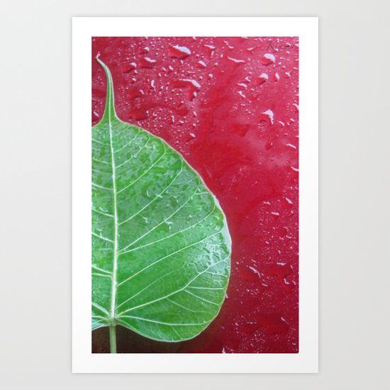Leaf on red Art Print