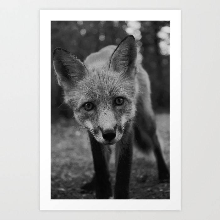 The Fox (Black and White) Art Print