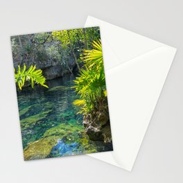 Mexico Photography - Beautiful Oasis In The Mexican Nature Stationery Card