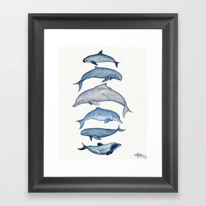 "Rare Cetaceans" by Amber Marine - Watercolor dolphins and porpoises - (Copyright 2017) Framed Art Print