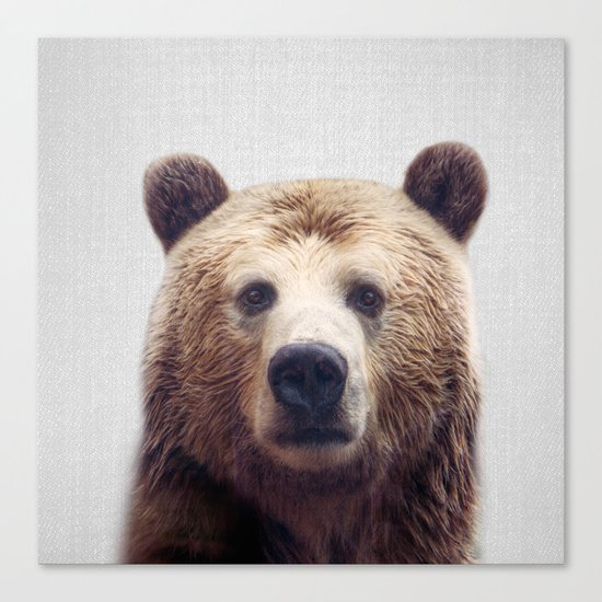 Bear - Colorful Canvas Print
