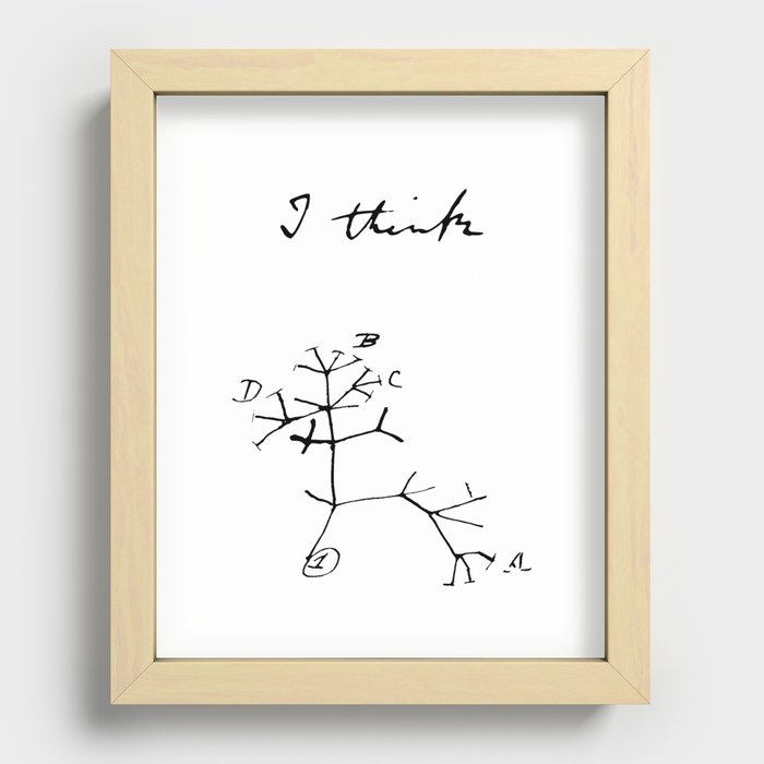 Darwin - Tree of Life - I Think Recessed Framed Print