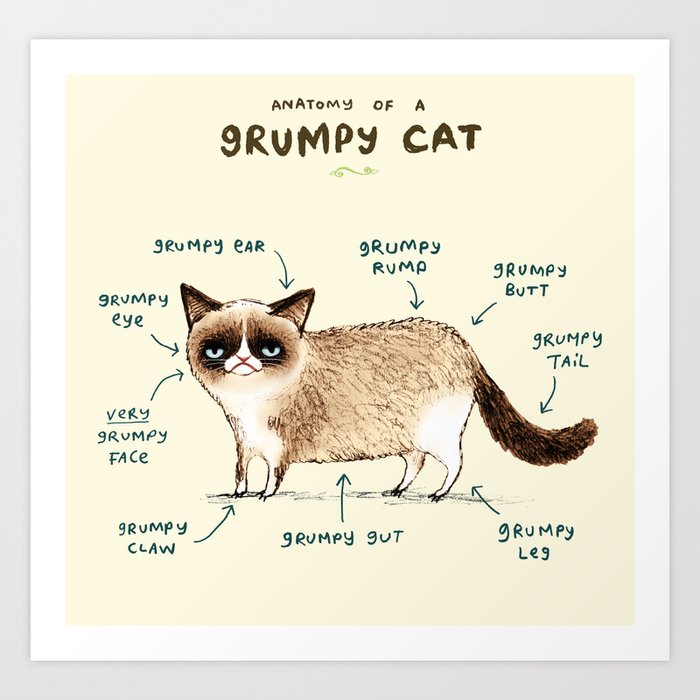 Anatomy of a Grumpy Kitty Art Print