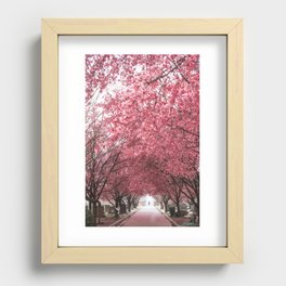 Okame Cherry Blossoms in DC Recessed Framed Print