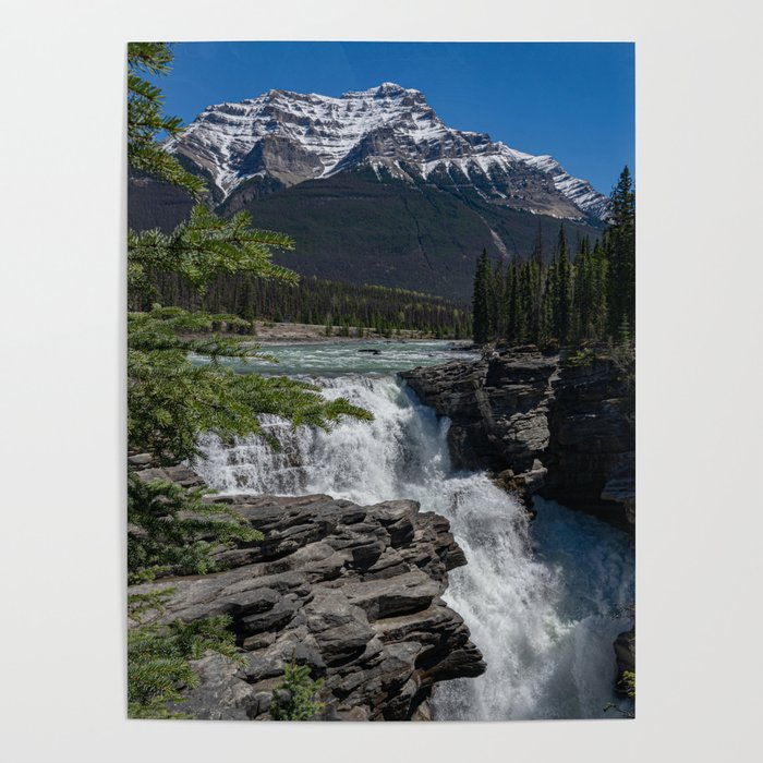 Athabasca falls Poster