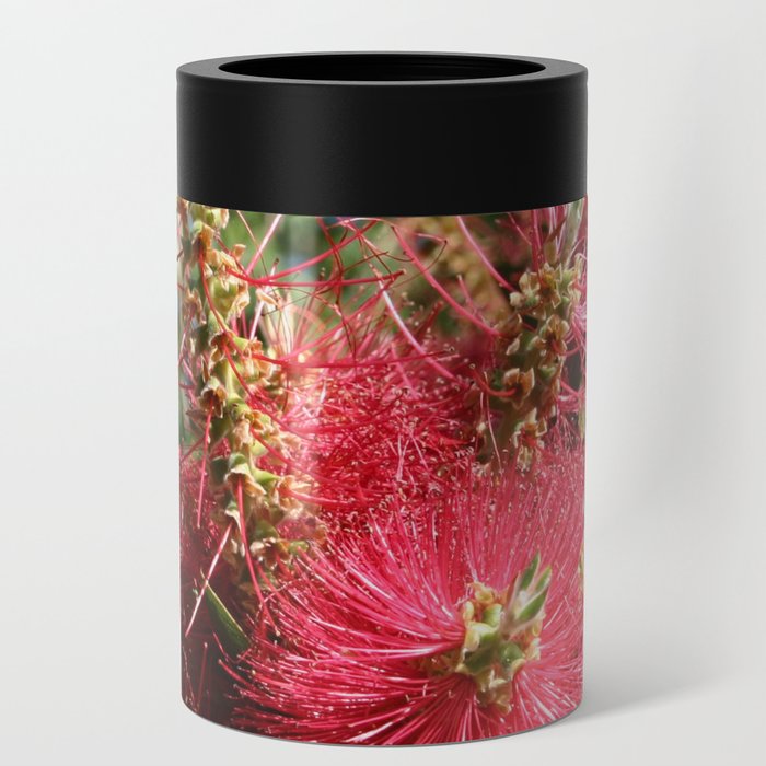 Argentina Photography - Callistemon Speciosus In The Argentine Forest Can Cooler