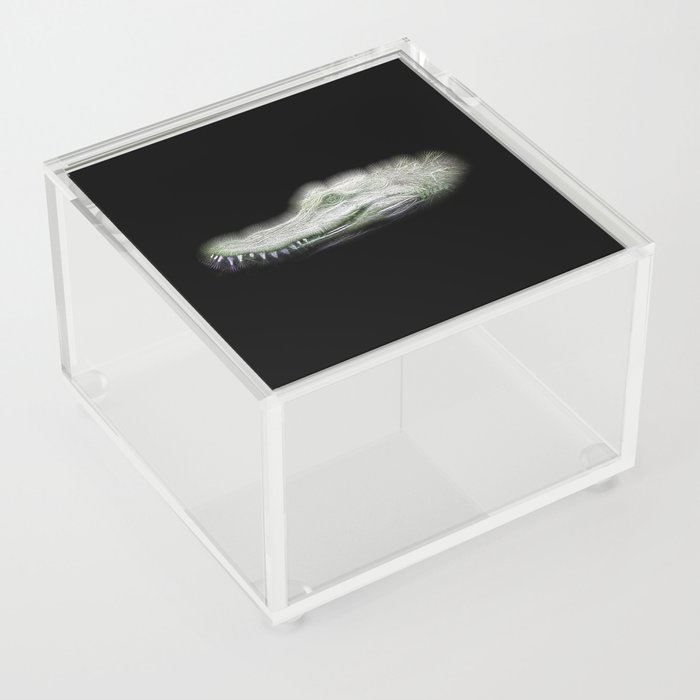 Spiked Alligator Acrylic Box
