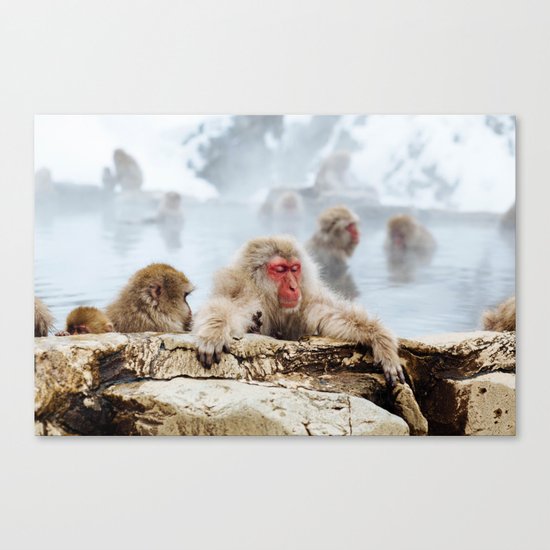 Ice Monkey Canvas Print