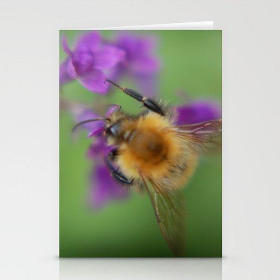 Bee Stationery Cards