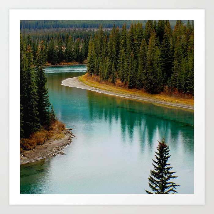Canada Photography - Beautiful River In Canadian Spruce Forest Art Print