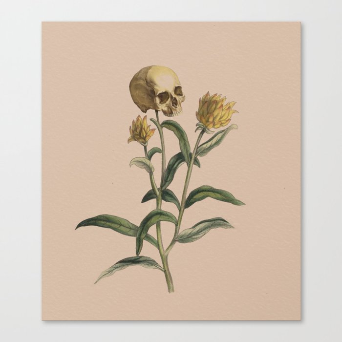 Death Blooms Canvas Print