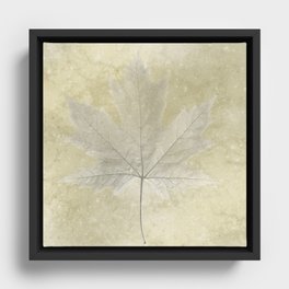 golden leaf2 Framed Canvas