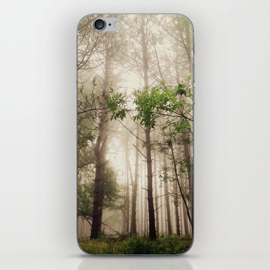 Wanderer iPhone & iPod Skin