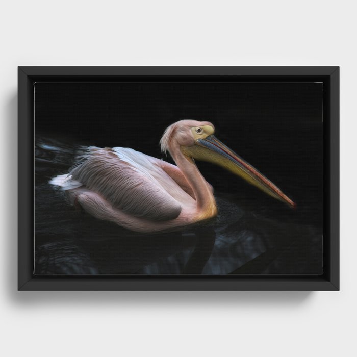 pelicano Framed Canvas