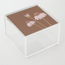 Wild Echinacea / Coneflower Acrylic Box