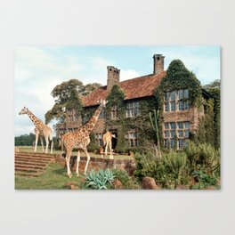 Giraffe Manor Canvas Print