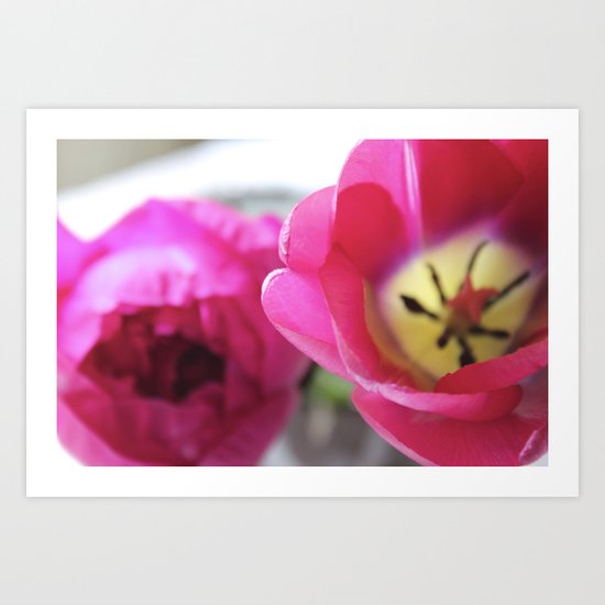 Half and Half Art Print