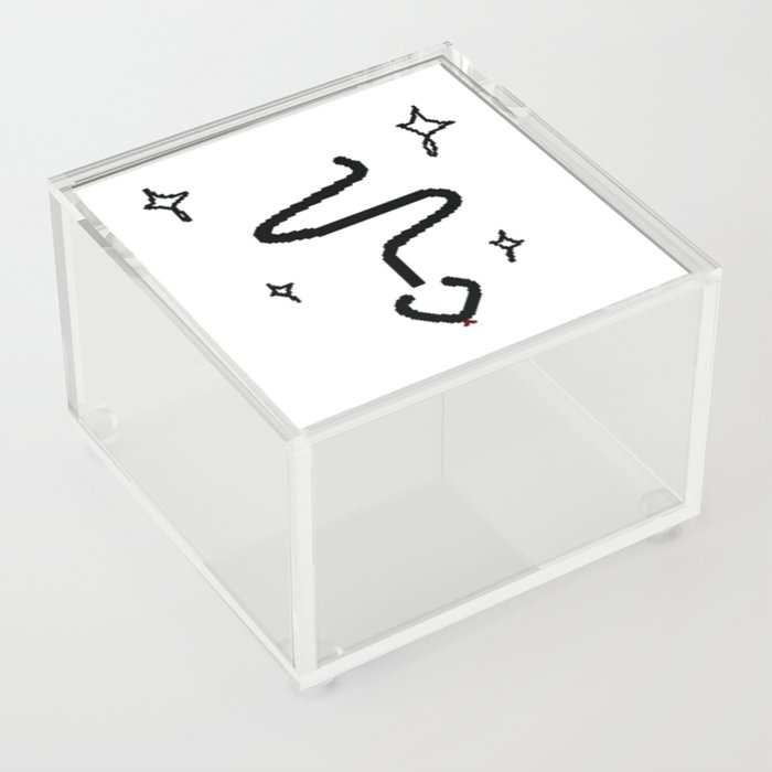 Snake with Lines & Stars Acrylic Box