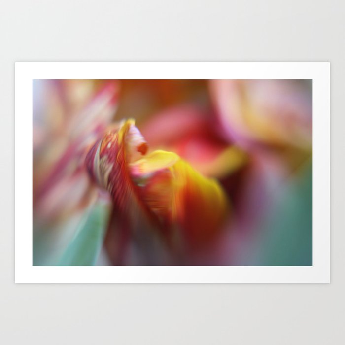 Tulip Bokeh Art Print