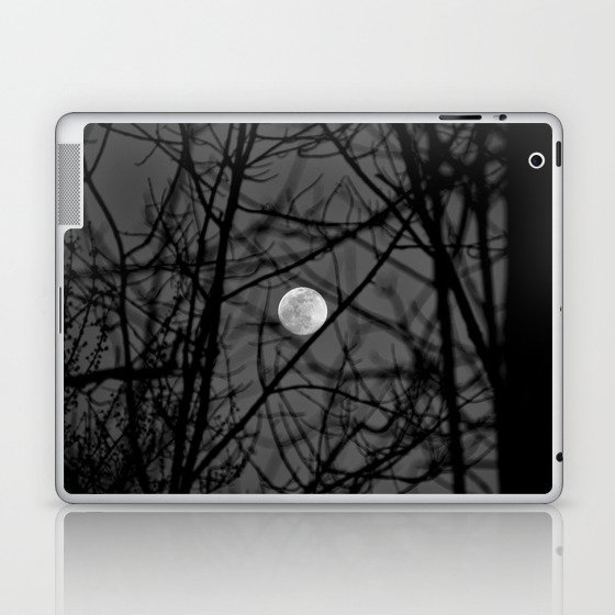 Pennsylvania Forest Moon Photograph Laptop & iPad Skin