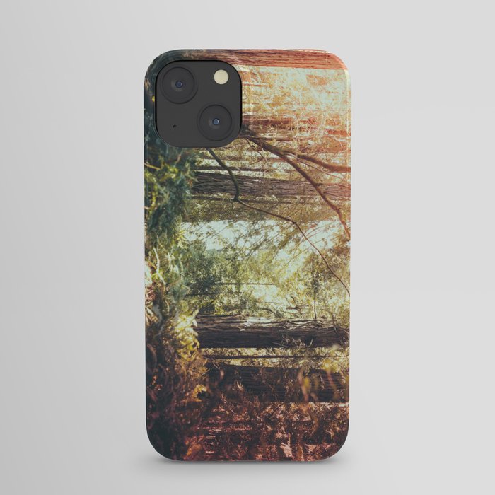 Beautiful California Redwoods iPhone Case
