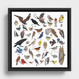 Bird Pattern Framed Canvas