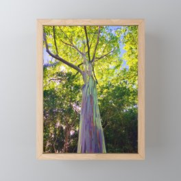 Rainbow Eucalyptus Trees Framed Mini Art Print