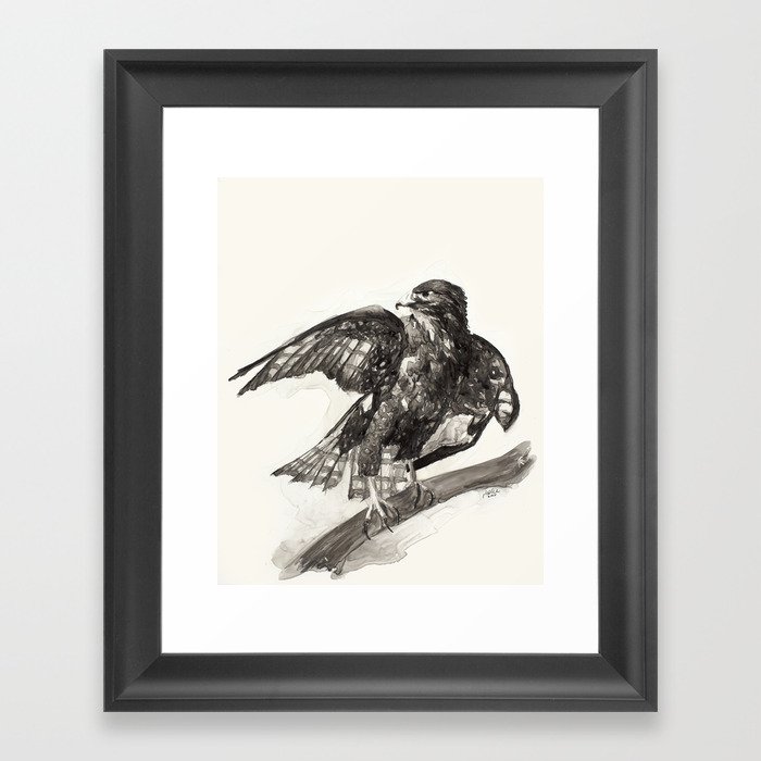 Hawk Framed Art Print