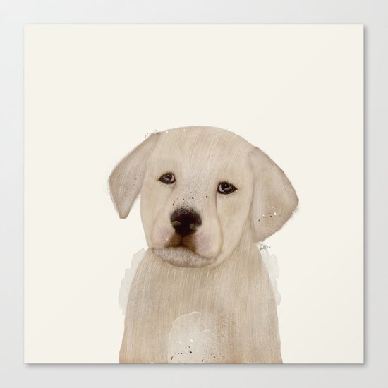 little labrador Canvas Print