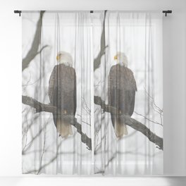 Eagle Sheer Curtain
