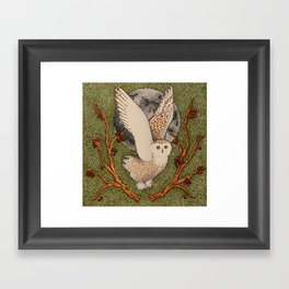 Owl & Acorns Framed Art Print