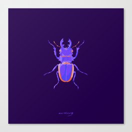 Entomologie Canvas Print