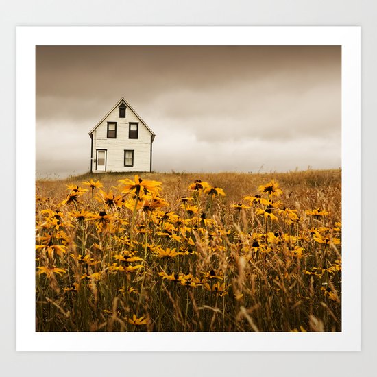 Black Eyed Susans Art Print
