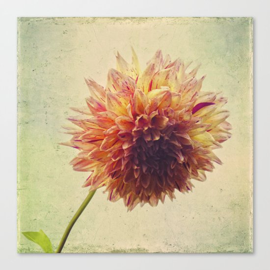 Small Grandness Canvas Print