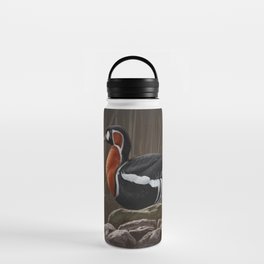 Red-breasted Goose bird Water Bottle