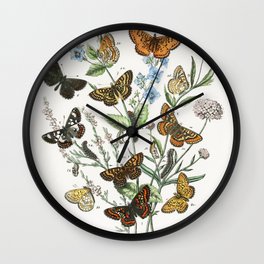 Vintage Butterflies And Caterpillars Illustration Wall Clock | Decoration, Summer, Insect, Flying, Set, Beautiful, Bug, Worm, Leidoptera, Moth 