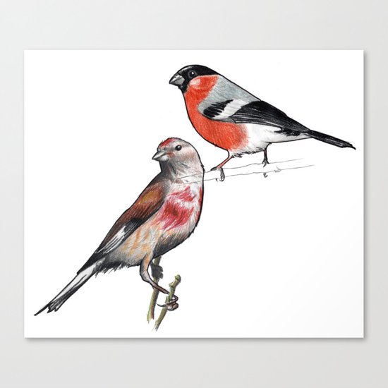CUICUI Canvas Print