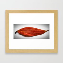 Red Leaf Framed Art Print